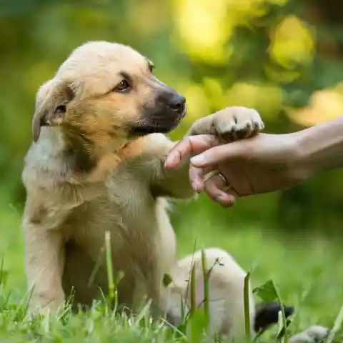 Tug-Of-War Is Not All Fun And Games