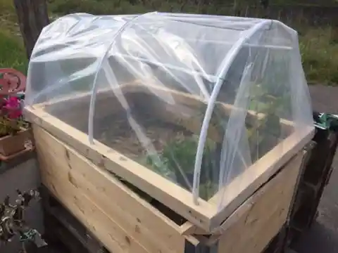 A Small Portable Greenhouse