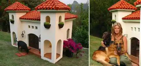 18. Celebrity Dog House