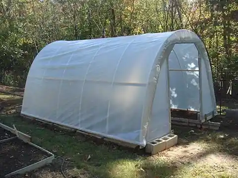 Hoop-Style Greenhouse