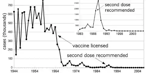 1963: The Measles Vaccine