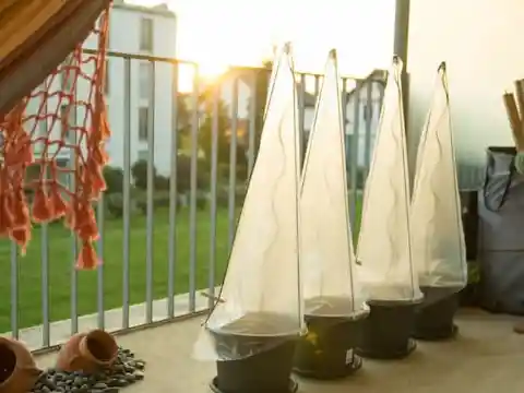 A Greenhouse For Your Tomatoes