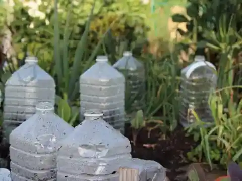 Water Bottle Greenhouse For Seedlings