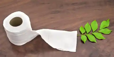 Leaves For Toilet Paper