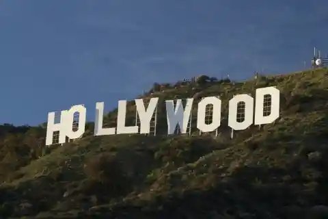 No More Than 2,000 Sheep Down Hollywood Boulevard