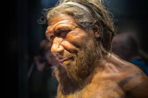 It Is Possible Neanderthals Could Speak