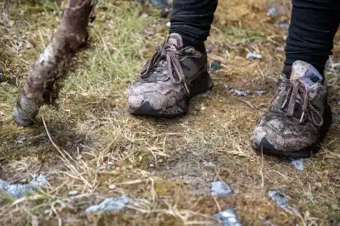 The Hiking Shoes