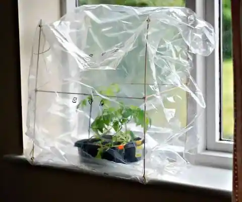 A Simple Windowsill Greenhouse Using Recycled Materials