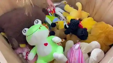 Stuffed Animals