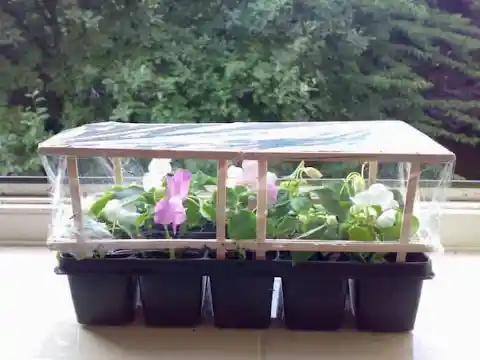 Greenhouse Made With Coffee Stirrers