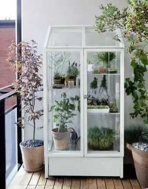 Automated Closet Greenhouse