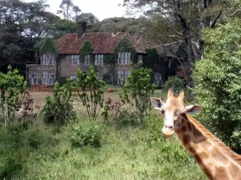 12. Giraffe Manor